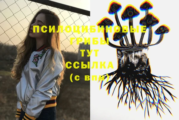 MDMA Вяземский